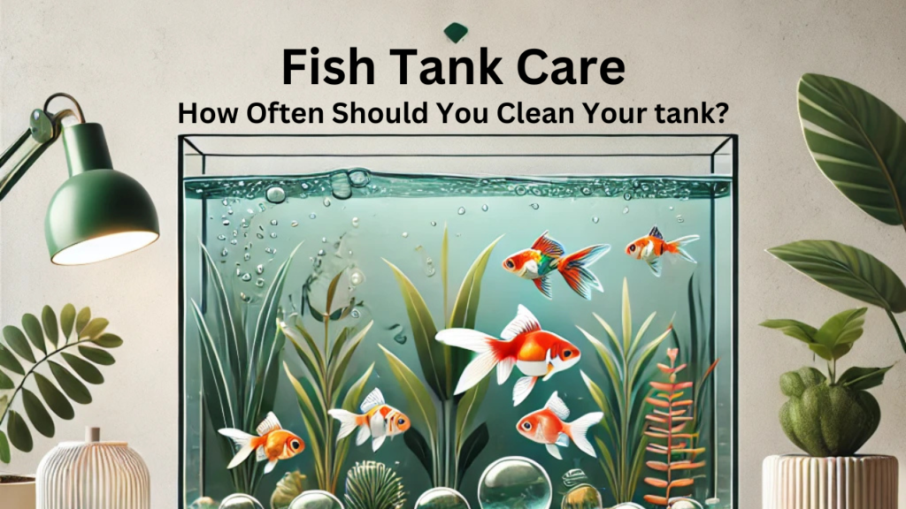 Keeping Your Fish Tank Sparkling: How often should you clean fish tank